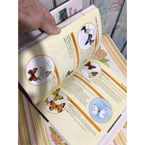 2004 Birds in your Backyard Birds & Blooms Softcover - Picture 9 of 16